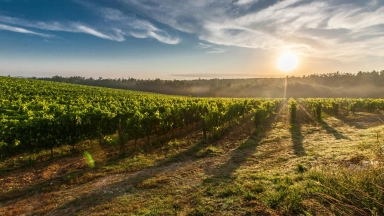 Ackerland Während Des Sonnenuntergangs