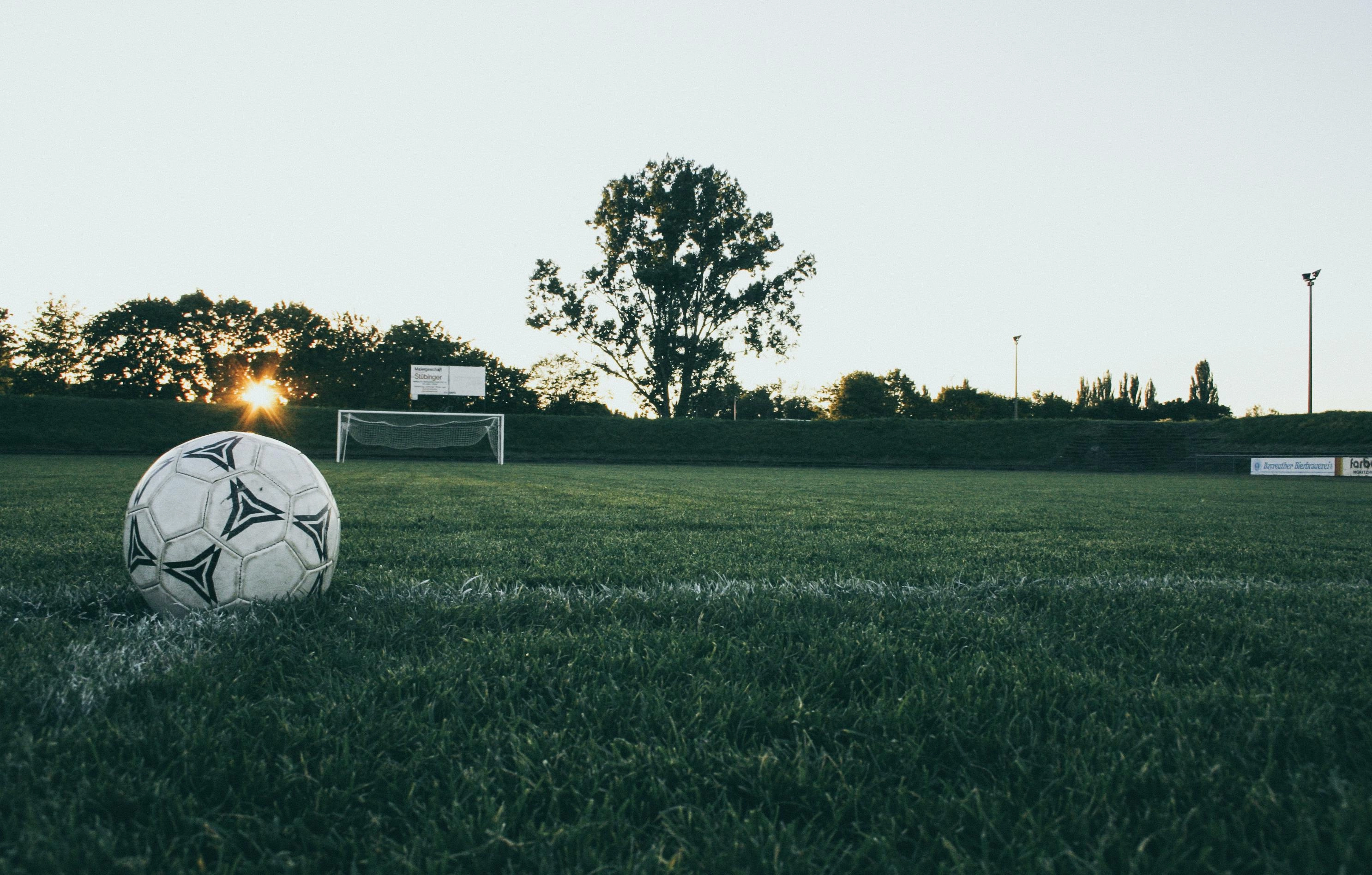 Kostenloses Stock Foto zu ausbildung, ball, baum