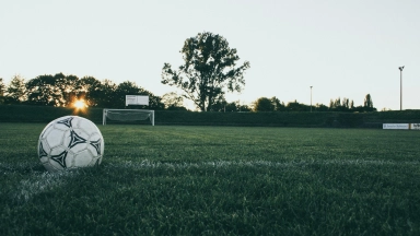 Kostenloses Stock Foto zu ausbildung, ball, baum