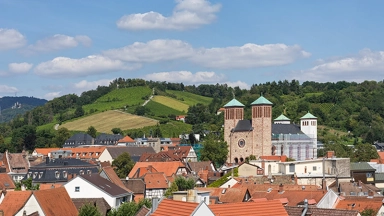 Blick über eine Stadt mit roten Dächern, einer Doppelkirche und grünen Weinbergen am Hang unter blauem Himmel.