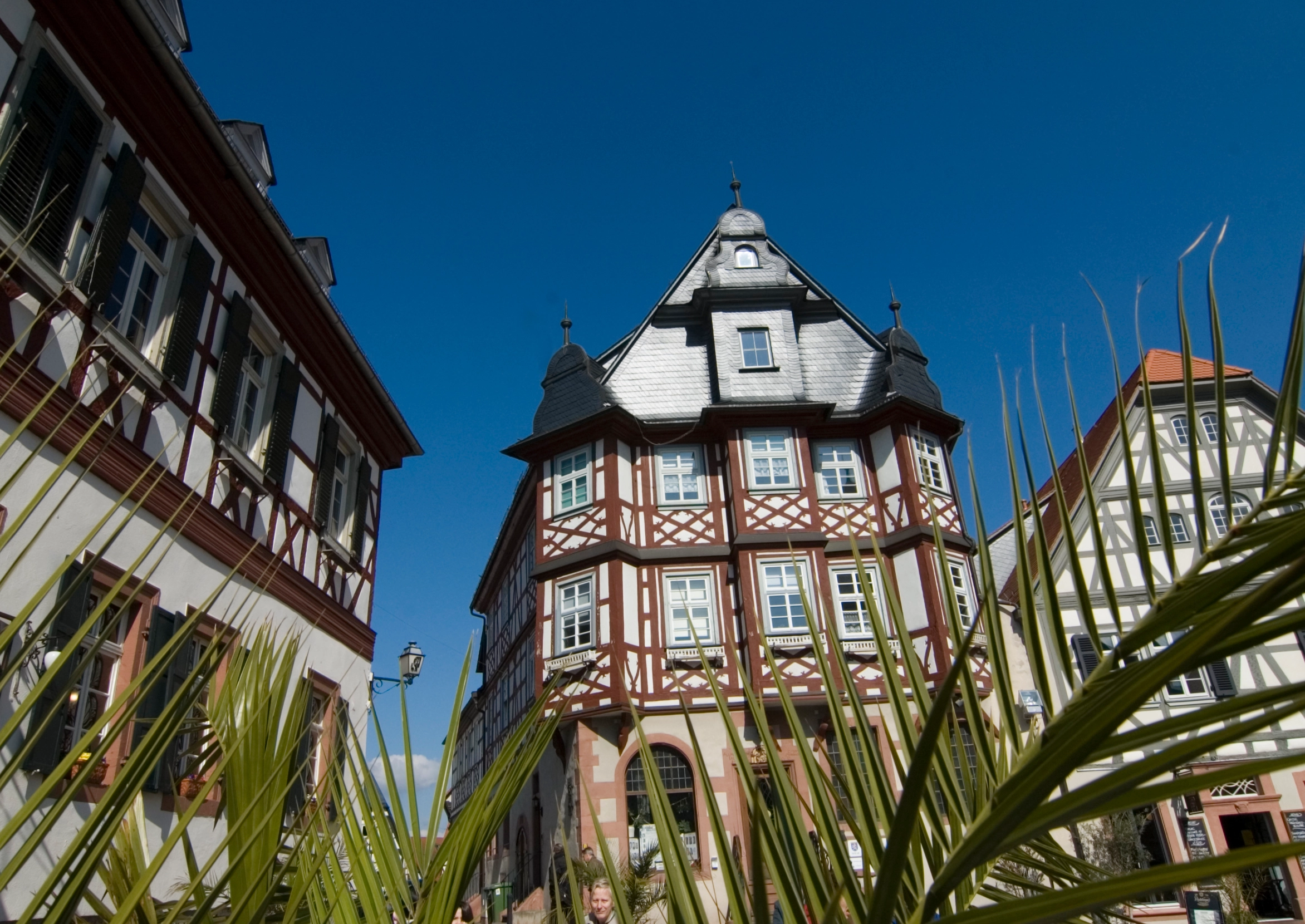 Historischer Platz mit Fachwerkhäusern, Palmenblätter im Vordergrund und blauem Himmel.